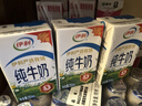 伊利纯牛奶250ml*24盒 优质乳蛋白早餐奶 4月产 实拍图