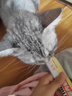 parlmu帕蓝姆全价主食猫条高肉0添加猫零食湿粮罐头15g*12支 实拍图