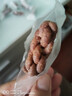 勿糖无糖黑全麦麻花258g/袋孕妇糖尿病人适用无糖零食品代餐饱腹零食 实拍图