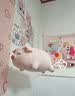 名创优品（MINISO）小猪B-BO翅膀款趴毛绒公仔玩具玩偶抱枕娃娃靠枕生日礼物女 实拍图