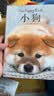 治愈系科普图鉴：小猫+小狗 全2册高清鉴赏图片养猫指南宠物书籍 狗狗训练教程关于狗狗的书名犬世界名狗图鉴 宠物图鉴猫咪狗的图鉴 养猫指南猫科动物 萌宠小奶猫 实拍图