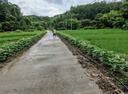 德骊嘉pe水管热熔自来水管饮用水管山泉水接水管塑料水管黑色硬管盘管 32*3.0【16公斤压力】 1寸管100米 实拍图