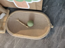 疯狂的主人猫抓板窝猫抓盆不掉屑猫窝宠物猫玩具猫爪板 实拍图