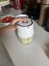 炊大皇电动打蒜器玻璃杯体小型绞肉机捣蒜器3叶刀片蒜泥神器辅食搅碎 实拍图
