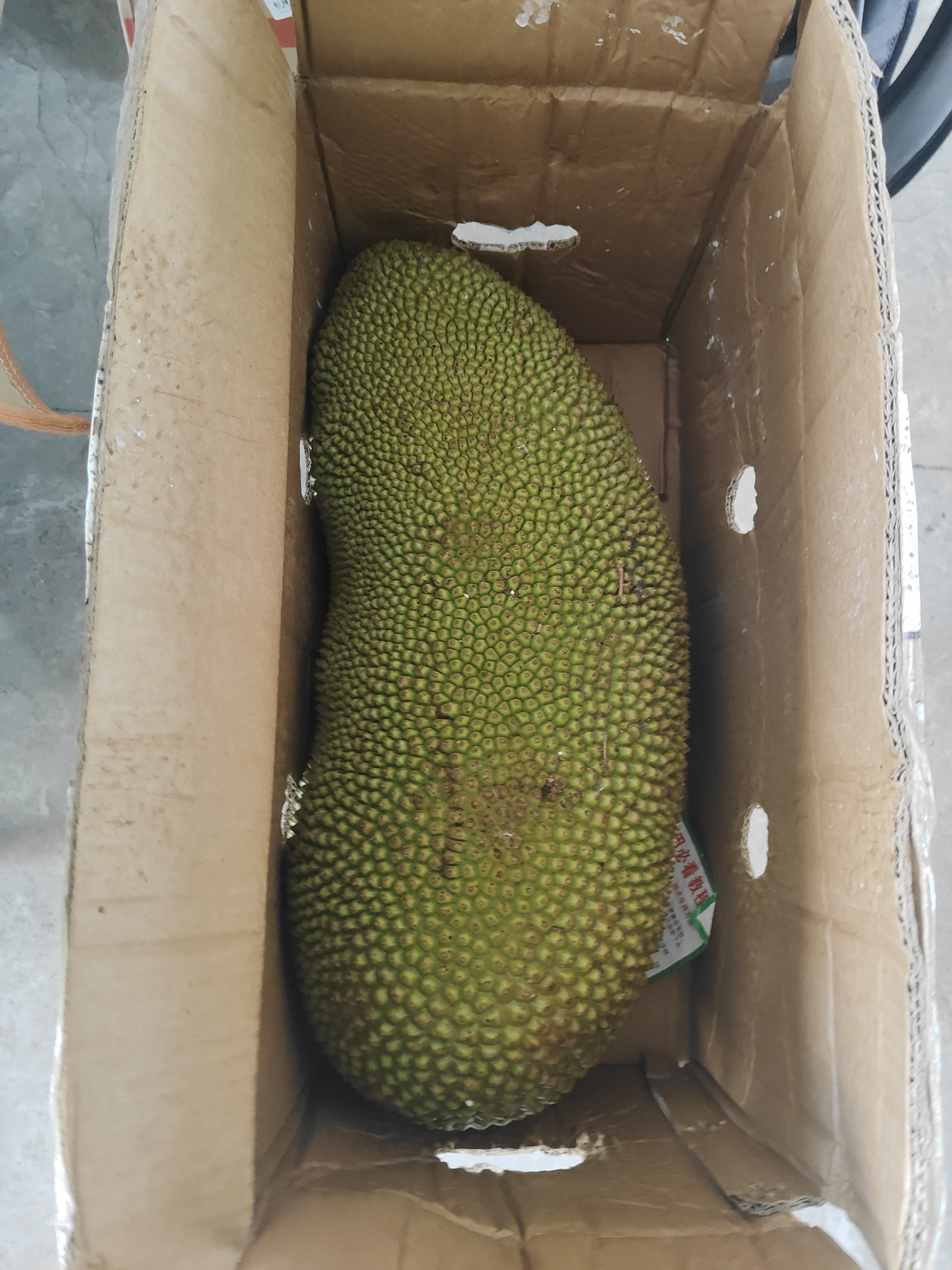 鸿星尔克（ERKE）泳衣女士保守遮肉显瘦泳装分体裙式游泳衣海边度假泡温泉泳衣大码 实拍图
