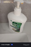 滴露（Dettol）洗手液液体经典松木500g+500g补充装儿童家庭护手替换 实拍图