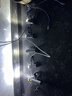 阿迪达斯（adidas）童装25秋季男童运动长裤中大童儿童吸湿速干足球训练裤子JD0573 实拍图