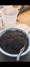 星宸花草博士营养土养花通用型种花种菜育苗专用土种植花土泥炭有机轻质土10L 实拍图