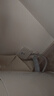公牛（BULL）3匹空调漏电保护开关3p漏电保护器开关柜机插座专用插头热水器 漏电保护40A 开关 实拍图