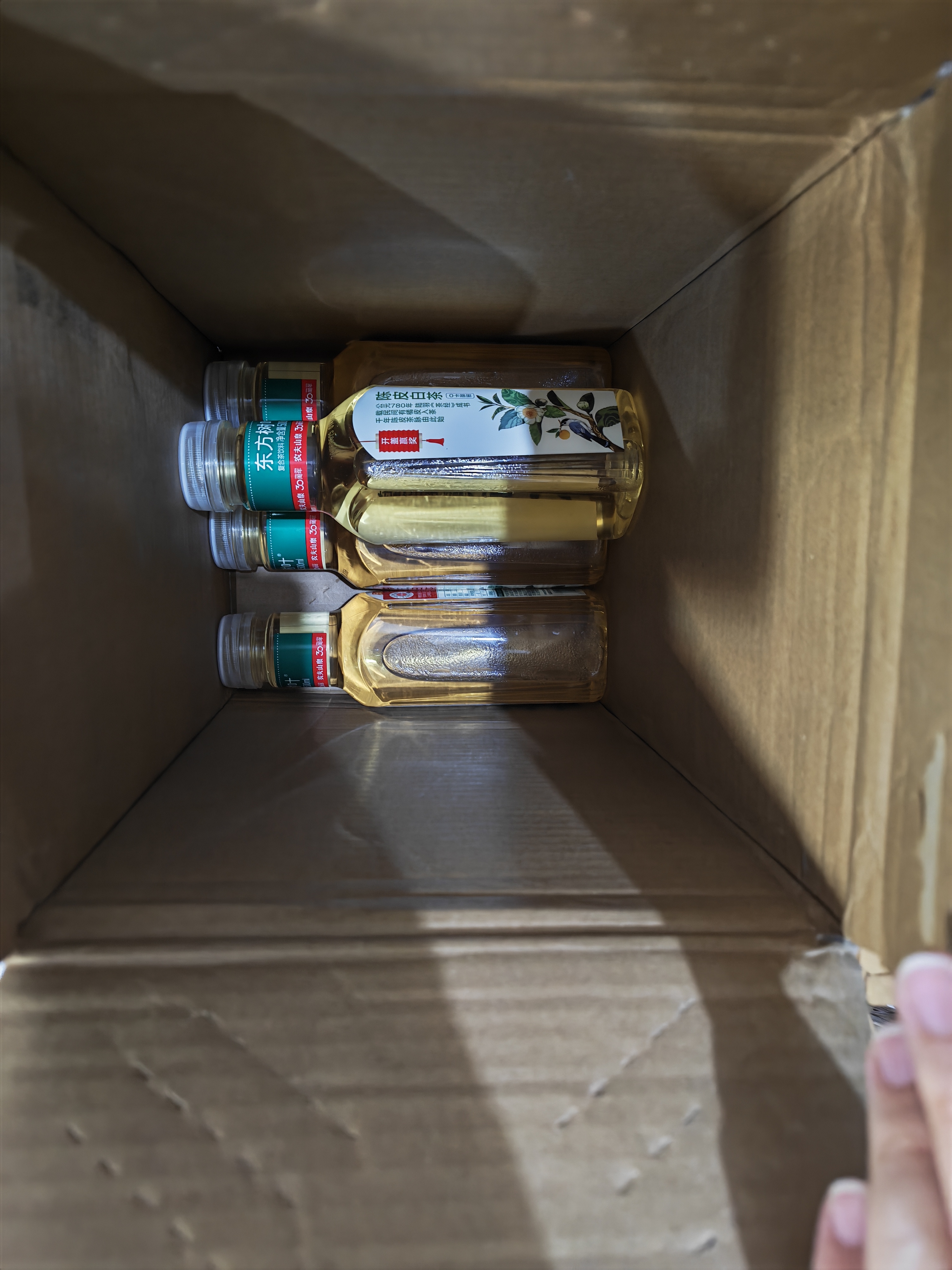 农夫山泉东方树叶茉莉花茶500ml*15瓶无糖茶饮料0糖0脂0卡整箱装 实拍图
