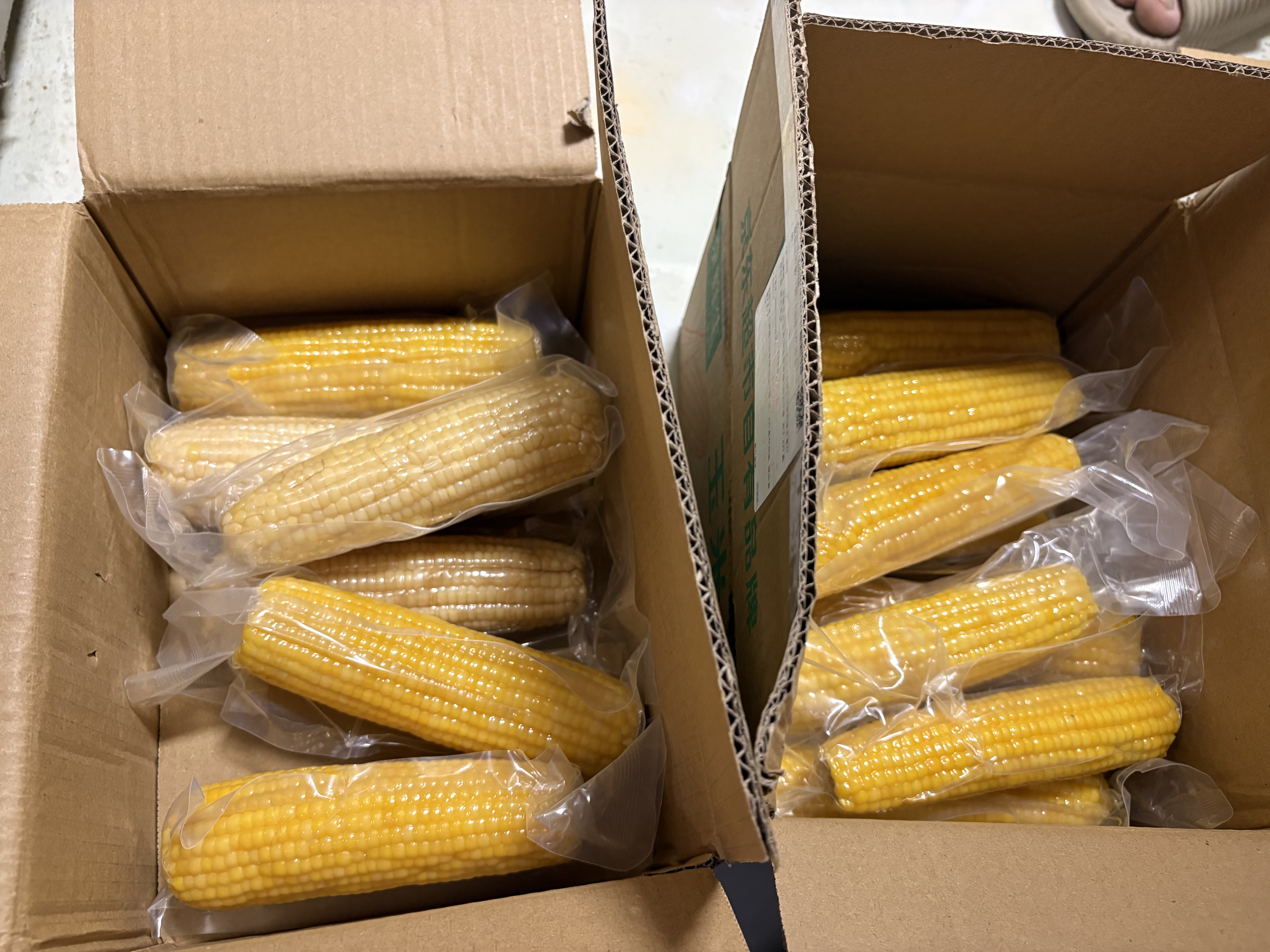 京鲜生&爷爷和月月一级黄糯玉米单棒250g+*6棒 共3斤真空包装源头直发 实拍图