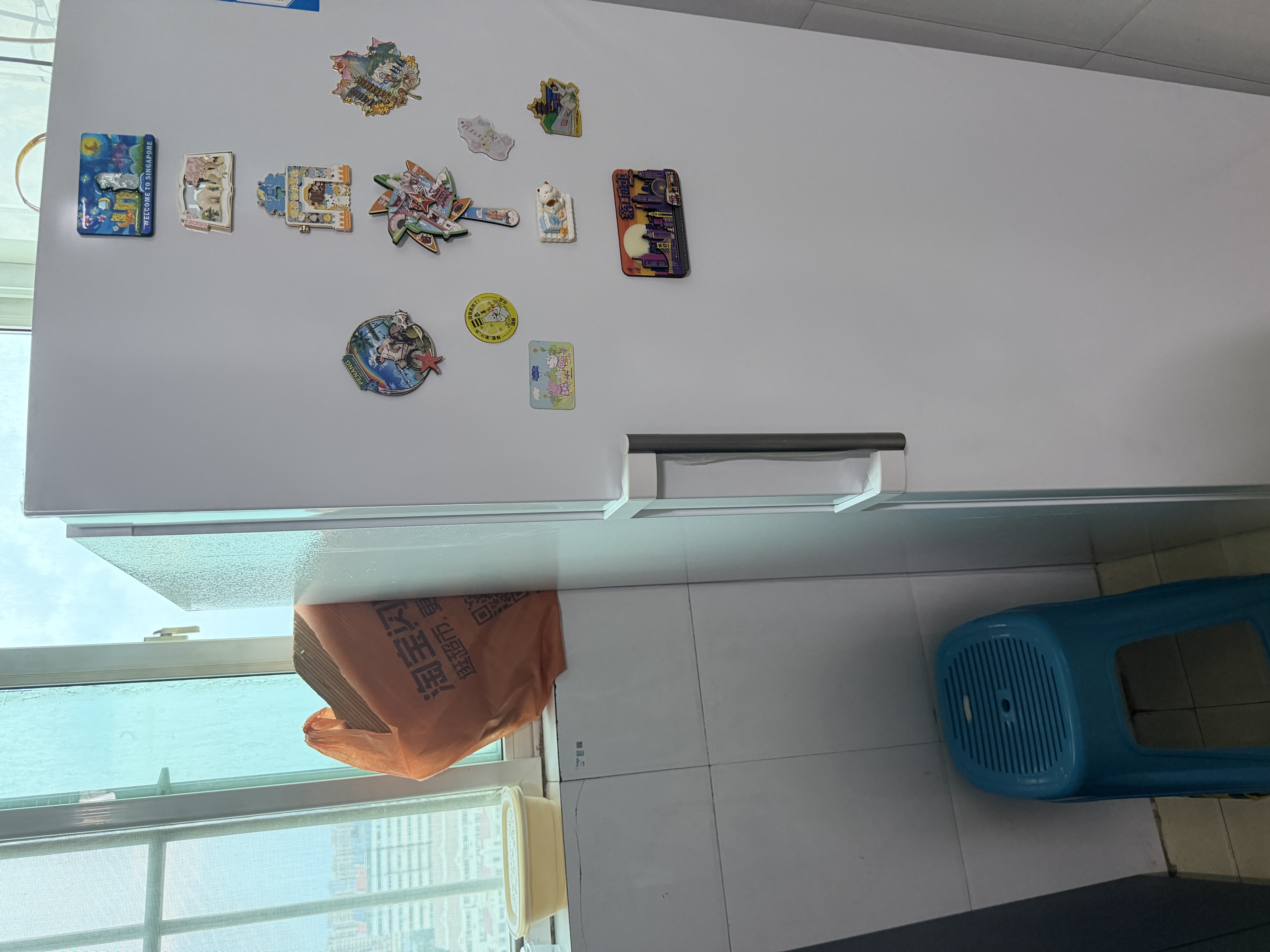 海尔（Haier）小红花290L立式冰柜小型家用小冰柜风冷无霜一级能效变频小冰箱BD-290WGHEGDW9大容量冰箱价保618 实拍图