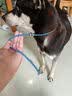 XCHO宠物项圈P型P绳P链狗狗项圈遛狗小中大型犬防爆冲训练 可调节70cm 实拍图