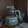 九阳（Joyoung）1.2L家用调奶器 养生壶 316不锈钢恒温水壶多功能婴儿冲奶粉烧水温奶暖奶器Q576 实拍图