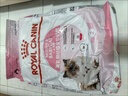 皇家幼猫奶糕 幼猫猫粮 BK34 通用粮 1-4月 10KG 实拍图