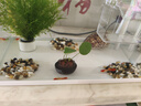 森森超白鱼缸一体缸自循环家用办公室桌面小型水族箱HEJ-380 实拍图