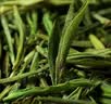 新旭堂安吉白茶茶叶新茶明前嫩芽绿茶高山春茶自饮单罐散装茗茶125g 实拍图