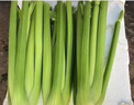 京鲜生山东新鲜大西芹净重4.5斤榨汁现挖芹菜鲜嫩蔬菜 去半叶源头直发 实拍图