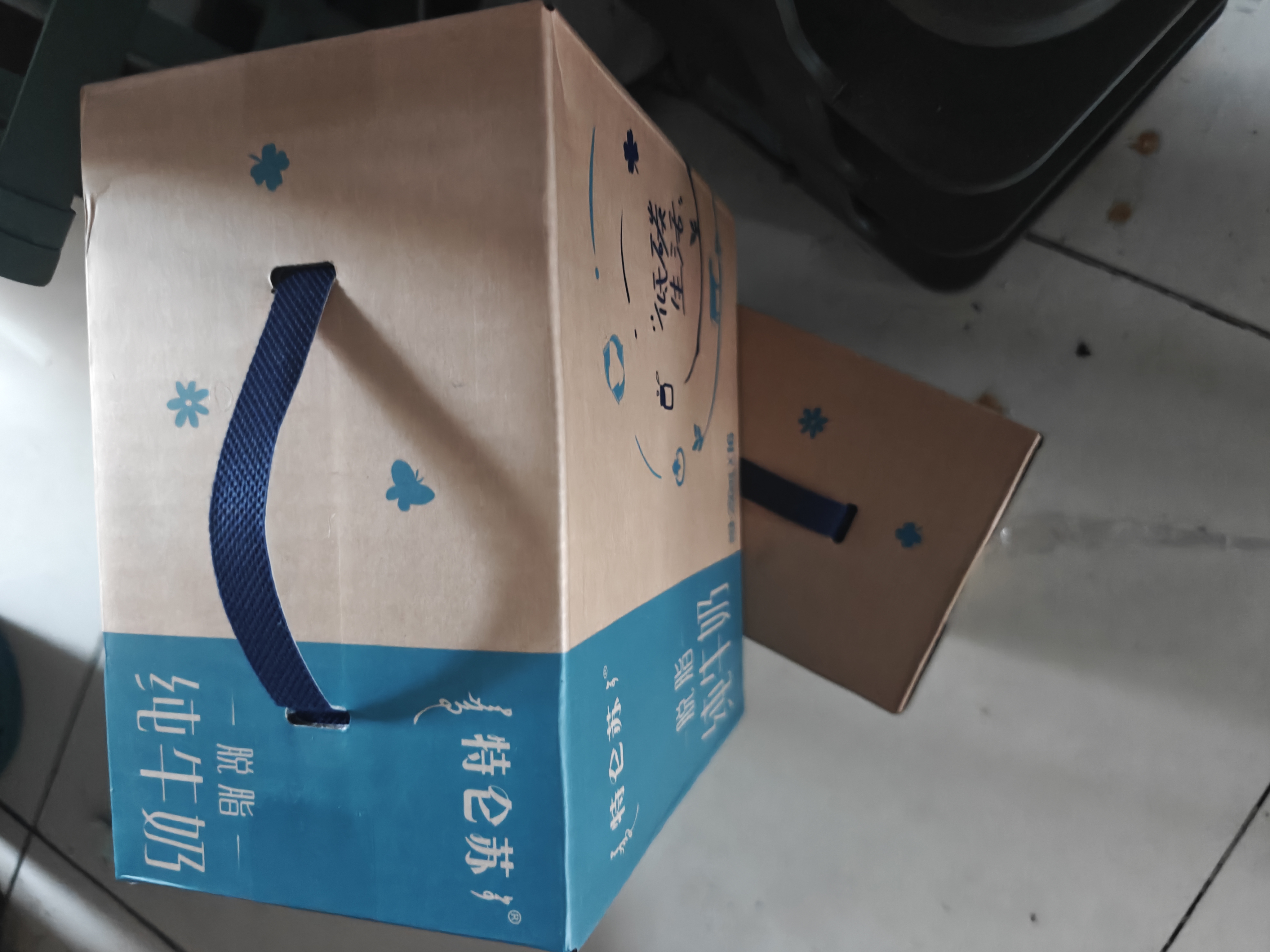 蒙牛特仑苏脱脂纯牛奶250ml*16盒 健身减脂 送礼优选礼盒装 实拍图