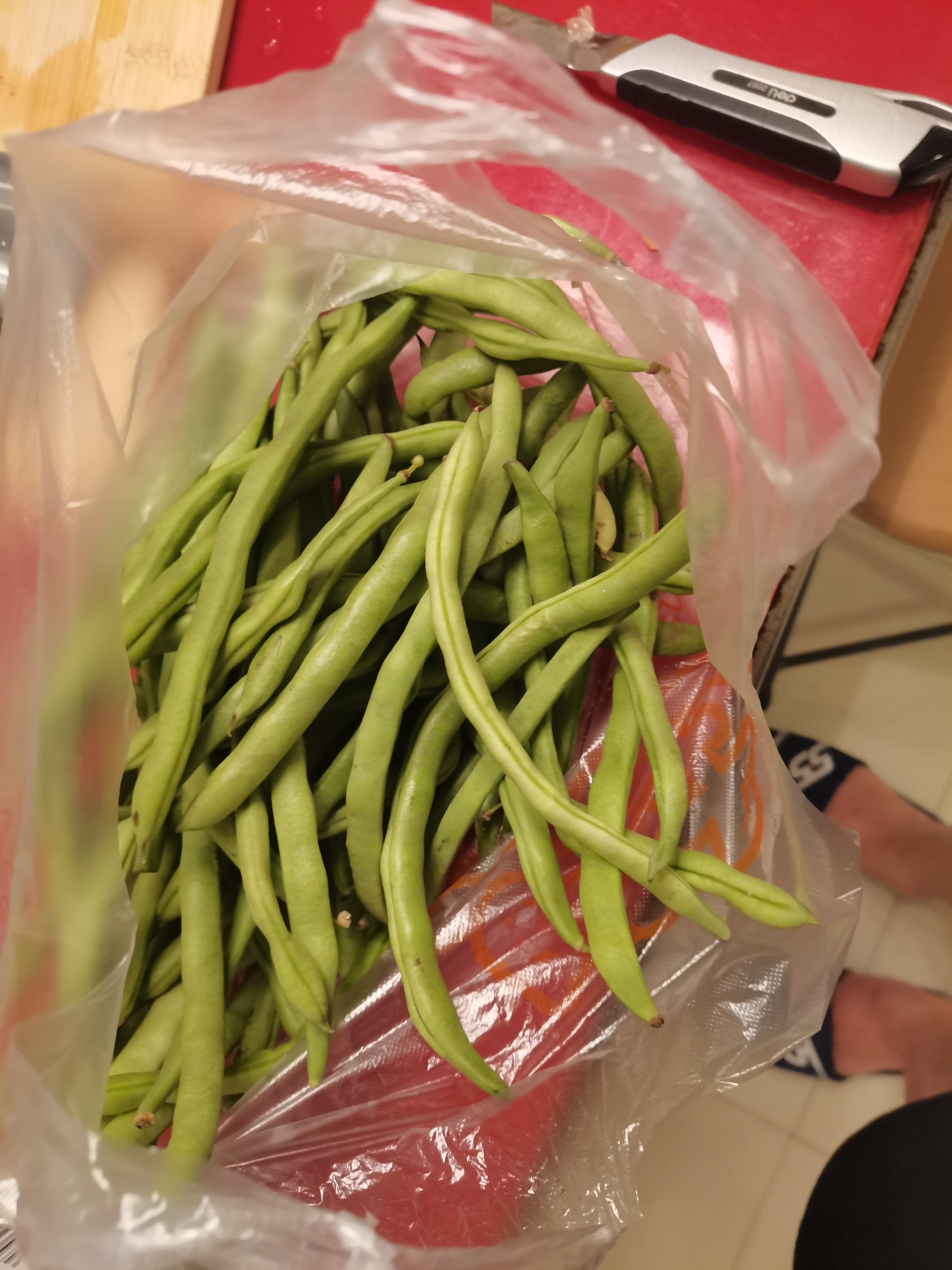 农家四季豆新鲜现摘云南长扁豆角农家应当季蔬菜芸豆现摘菜豆 新鲜四季豆2斤带箱 实拍图