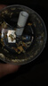 绞肉机小型打蒜器家用绞蒜切蒜器多功能辅食料理机电动蒜泥神器蒜蓉机自动切菜机压蒜器 宝蓝色- 0.26L （升级大电机） 实拍图