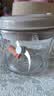 小熊（Bear）绞肉机小型家用 绞馅机打肉馅机搅肉机 碎肉机搅拌机 绞肉绞菜一体机QSJ-K03N5悬浮刀 实拍图