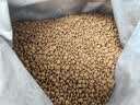 朗亲猫粮成猫专用鸭肉鱼英短蓝猫布偶美短通用型猫干粮5kg 实拍图