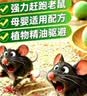 DAGO老鼠强力驱避赶丸汽车发动机避鼠商场储物间驱赶神器趋避20粒 实拍图