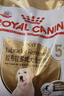 皇家狗粮 拉布拉多老年犬狗粮 宠物大型犬 SLR30 全价犬粮 ≥5岁 12KG 实拍图