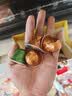Nespresso奈斯派索胶囊咖啡意式浓缩黑咖啡套装瑞士进口10颗装咖雀巢咖啡 东京大杯10颗装（花香，烘培，强度6） 实拍图