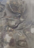 南同神州茉莉花陈皮茯苓排浊体香养生祛湿茶包健脾养胃调理去体内湿气重女 实拍图
