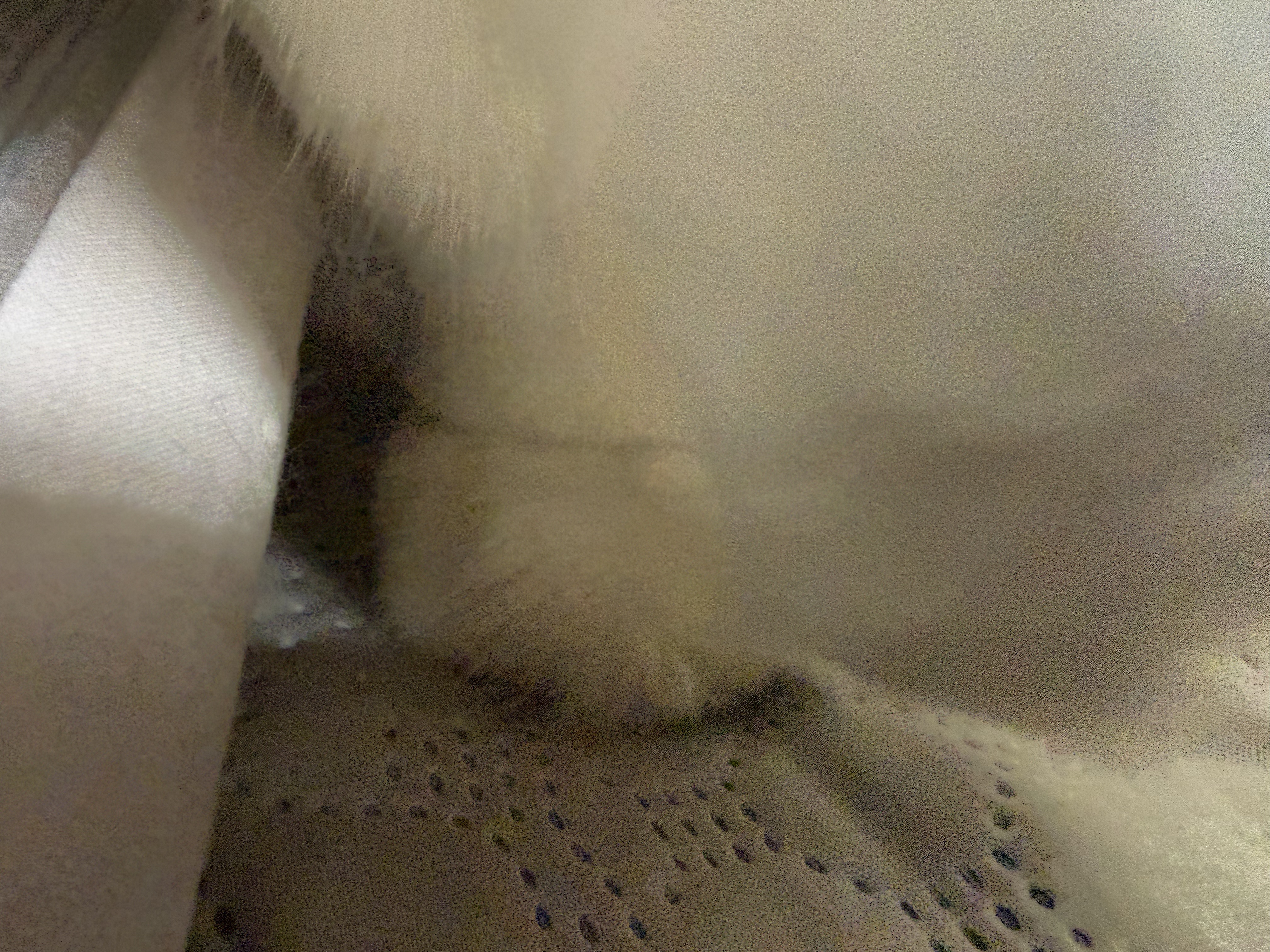 麦富迪猫粮 barf霸弗天然猫粮冻干生骨肉成猫粮养胃益肠牛肉100g 实拍图