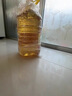 鲁花 食用油 物理压榨 葵花仁油6.18L  实拍图