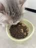 pidan猫砂 豆腐膨润土70%:30%混合1.9kg 实拍图