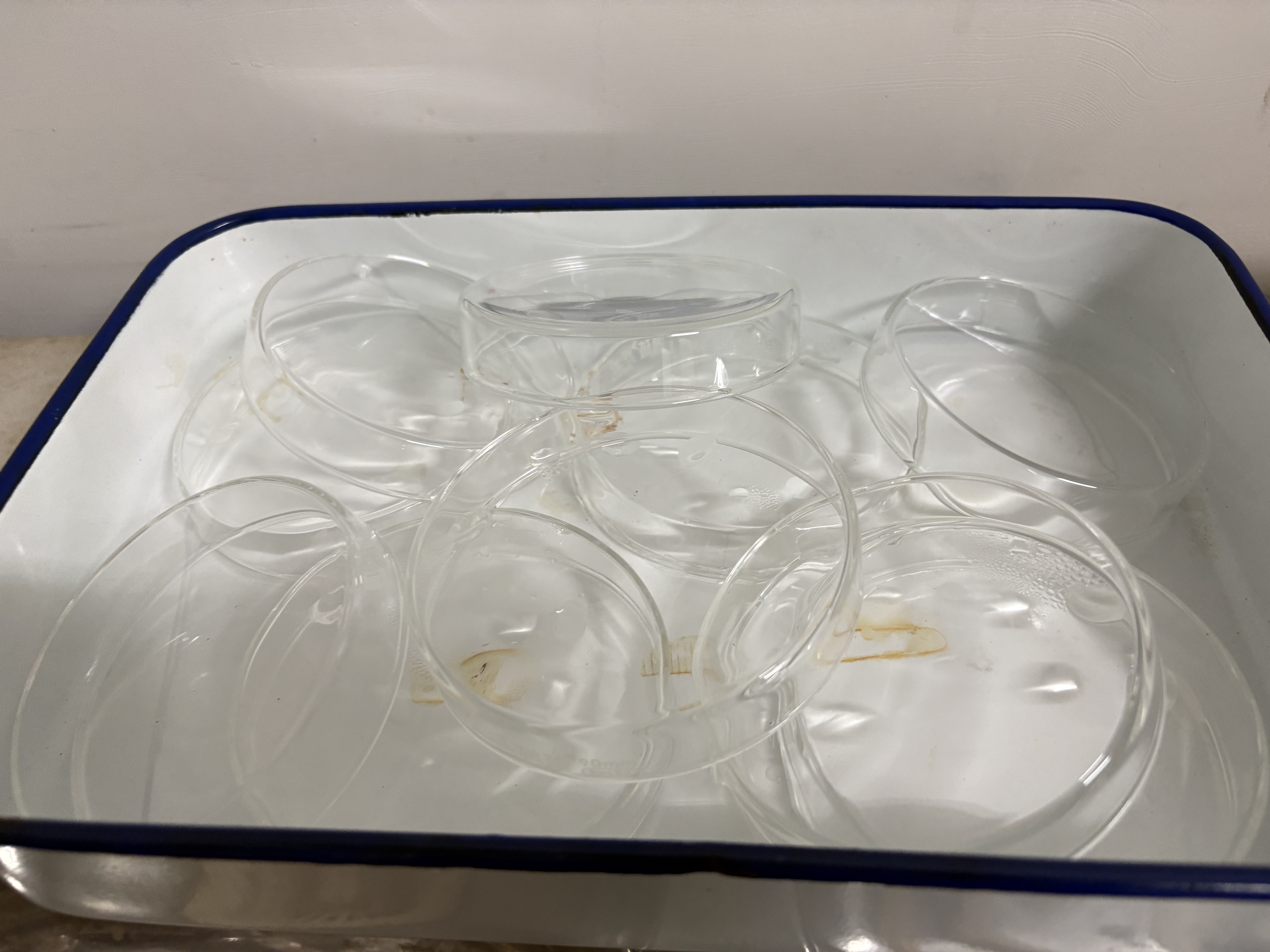 湘玻 玻璃培养皿高硼硅玻璃器皿耐高温酸碱加厚平皿实验室细菌细胞培养 90mm10个/盒 实拍图