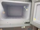 小鸭小冰箱迷你小型家用 冷藏冷冻两用宿舍寝室出租房用双门办公室电冰箱节能省电 【节能省电】138银色【一级能效 高效保鲜】43L 实拍图