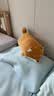 名创优品（MINISO）柴犬系列毛绒公仔趴姿玩具娃娃抱枕睡觉卧室办公室午睡枕生日礼物 实拍图