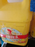 金鱼洗洁精大桶5kg 去油果蔬清洗剂餐具食品用级别洗涤灵除菌率99% 实拍图