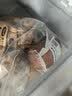 波尼亚 青岛火腿600g/支 猪肉德式黑森林火腿 淀粉含量≤4% 三明治早餐 实拍图
