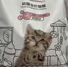 诚实一口K00全价猫粮 幼猫奶猫1-4月专用乳铁蛋白新西兰绵羊奶提升免疫1kg 实拍图