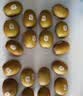 佳沛（zespri）新西兰 阳光金果18粒超大果原箱单果175-204g 猕猴桃水果礼盒 实拍图