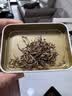 凤牌 红茶 云南凤庆滇红特级 蜜香口感  250g纸盒装 机制金芽 茶叶 实拍图