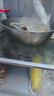 京东京造知鲜冰箱除味器MAX 除臭保鲜杀菌除味剂净味器李斯特菌消毒器 实拍图