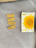 葵花【官方正品】鼻炎贴苍耳子舒鼻贴通气鼻舒贴塞快速通气儿童过敏性 实拍图