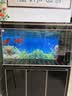 森森（SUNSUN）大型鱼缸底过滤水族箱客厅家用落地玻璃生态金鱼缸 超白款升级底滤 1.2米长42cm宽（黑白灰可选） 实拍图