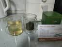 京东京造【2026新茶】明前信阳毛尖250g茶叶绿茶栗香嫩芽自己喝自营性价比 实拍图