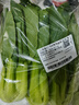 上海青约500g(油菜) 实拍图