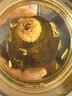 婺牌【新花上市】婺源绣球皇菊菊花茶江西特产花茶礼盒金丝皇菊特级茶 婺源精品花王皇菊24朵一盒装 实拍图
