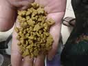 比瑞吉狗粮小型犬中大型犬爱不将就系列狗粮冻干三拼鸭肉梨通用犬粮10kg 实拍图
