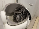 妙三多预防猫瘟猫鼻支英特威猫三联疫苗1针 实拍图